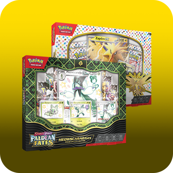 Pokmon TCG - Collection Boxes  Nostalgia TCG